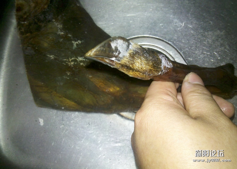 2012-03-23_17-06-53_343.jpg