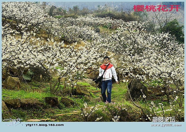 樱桃花开——11副本.jpg