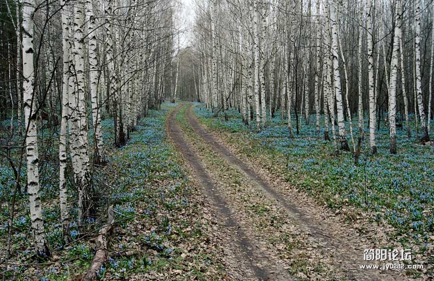 t (7).jpg