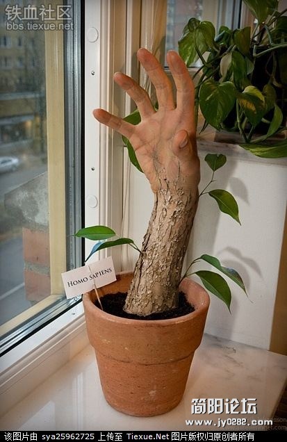 p (17).jpg