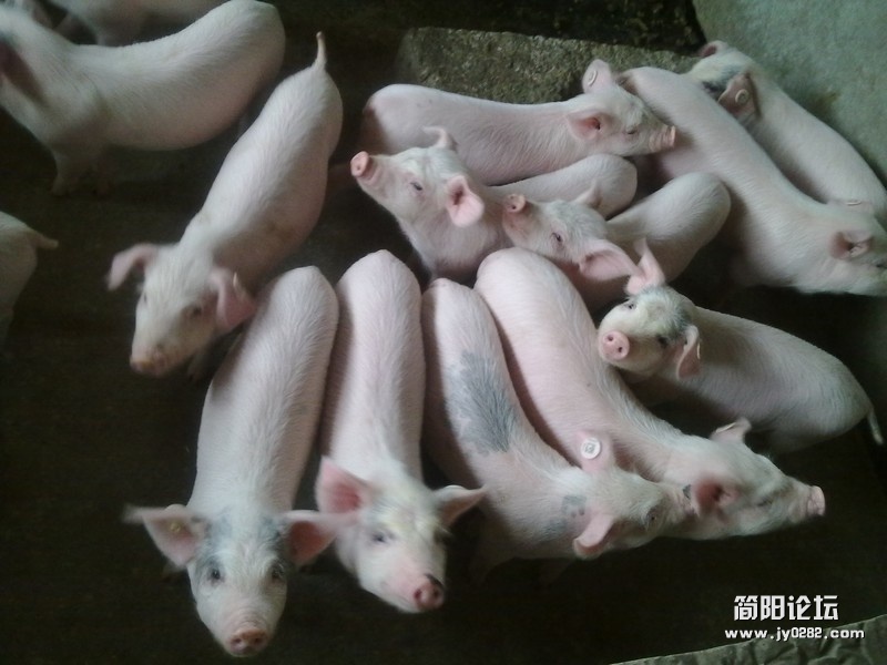 20120322249.jpg