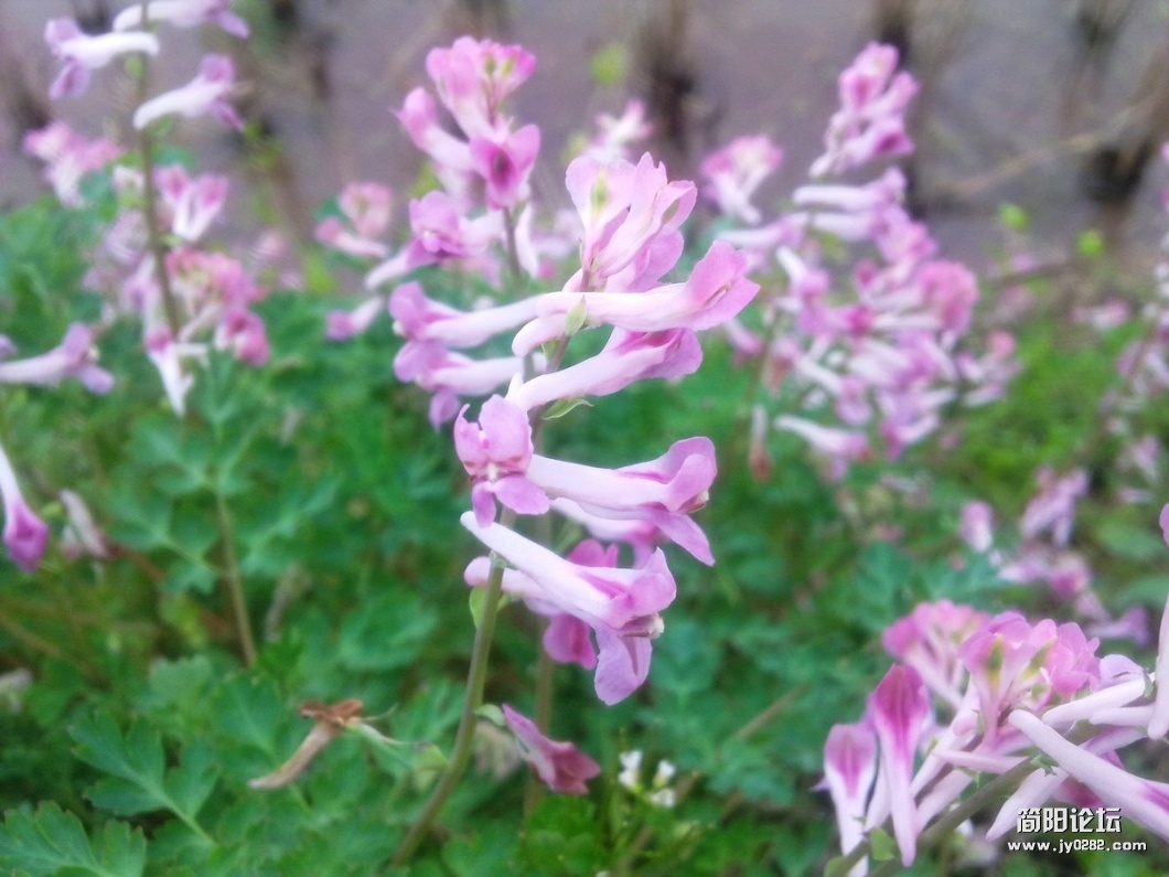 20120323260.jpg