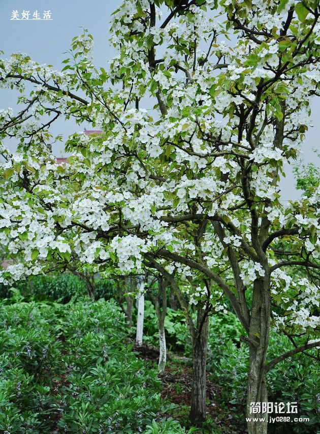 DSC_0259.jpg