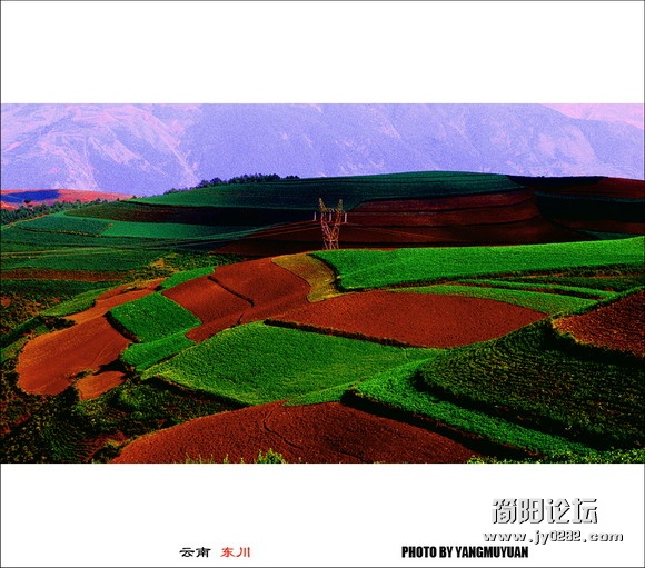 yndc (1).jpg