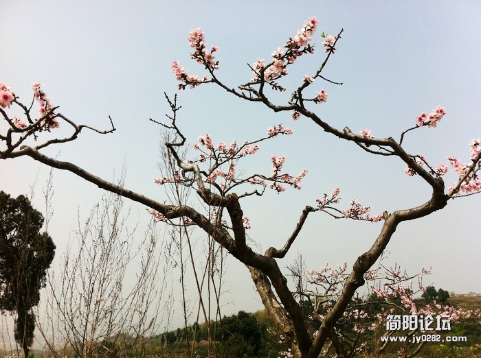 nEO_IMG_IMG_0216.jpg