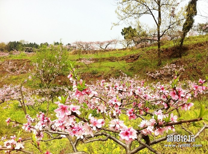 QQ截图20120331194034.jpg