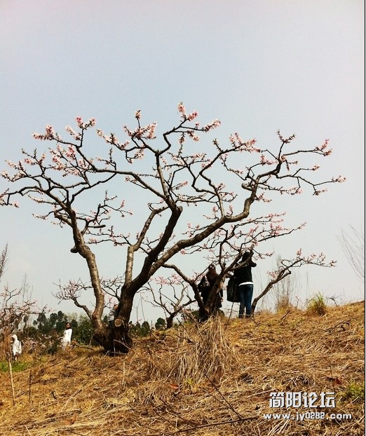 QQ截图20120331194300.jpg