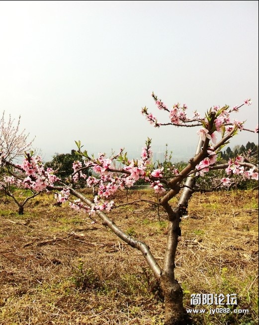 QQ截图20120331194437.jpg