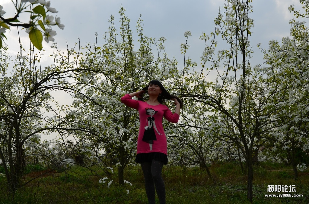 DSC_0062.jpg