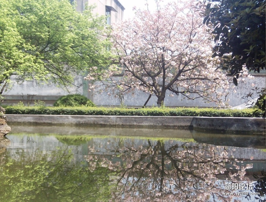 20120401-1.jpg