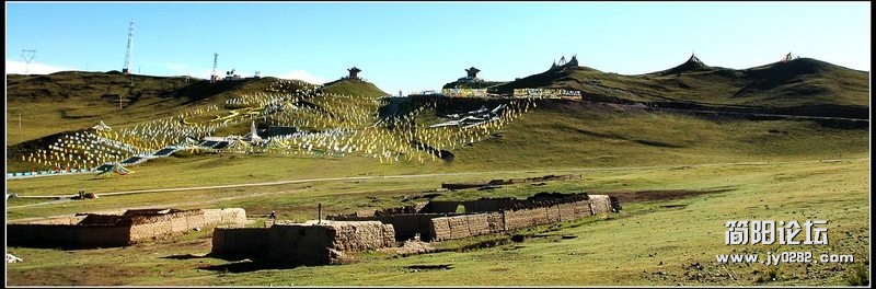 rys (9).jpg