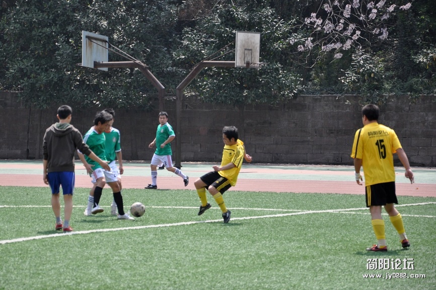 DSC_0070.jpg