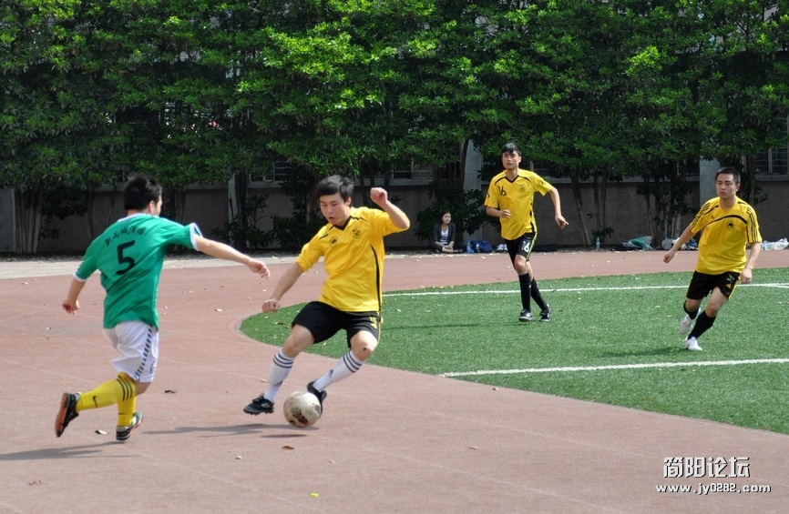 DSC_0130.jpg