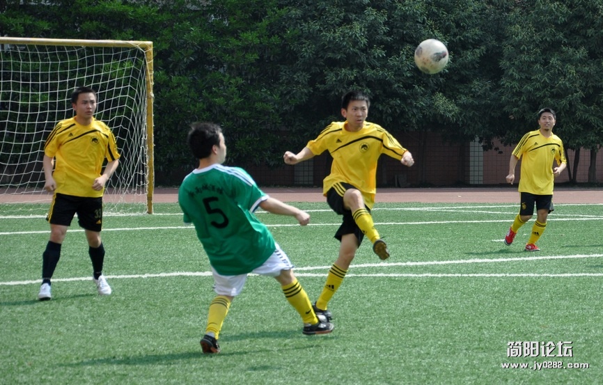 DSC_0131.jpg