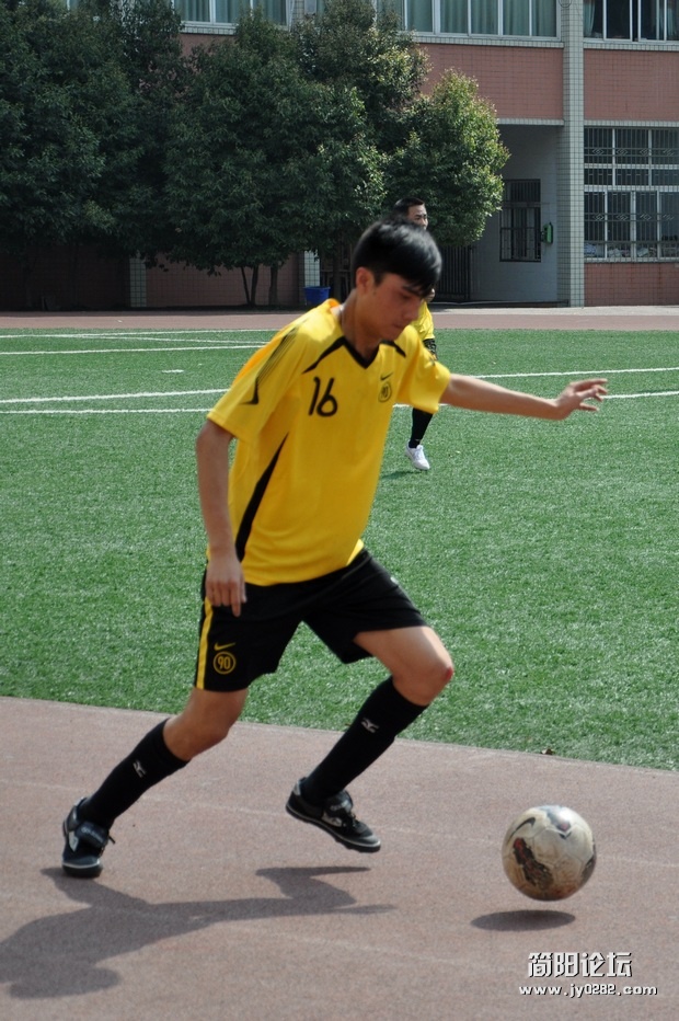 DSC_0133.jpg