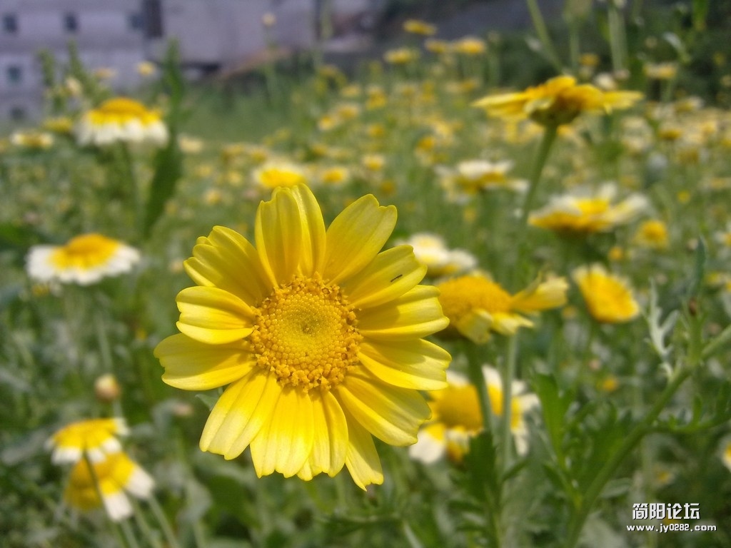 20120401304.jpg