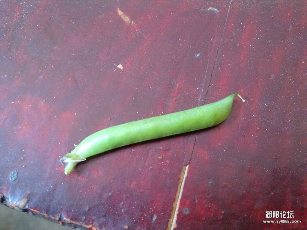 20120401311.jpg