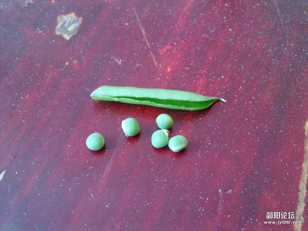 20120401312.jpg