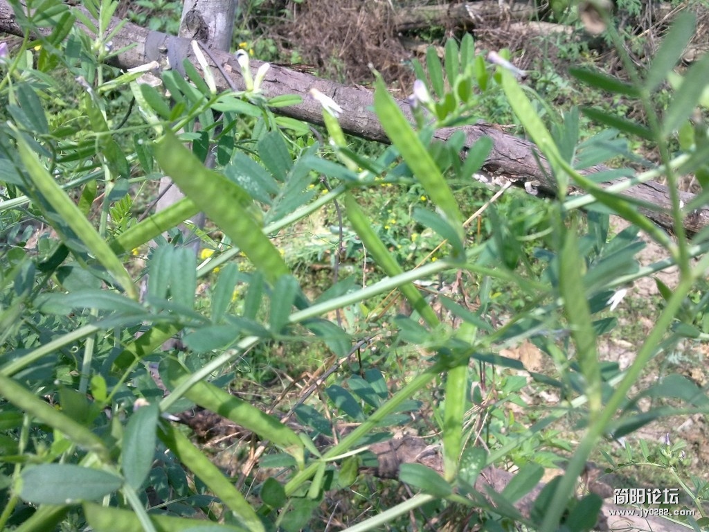 20120401307.jpg