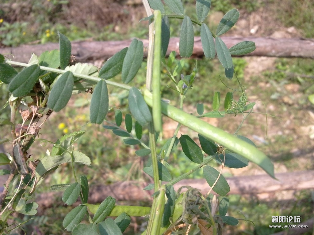 20120401308.jpg