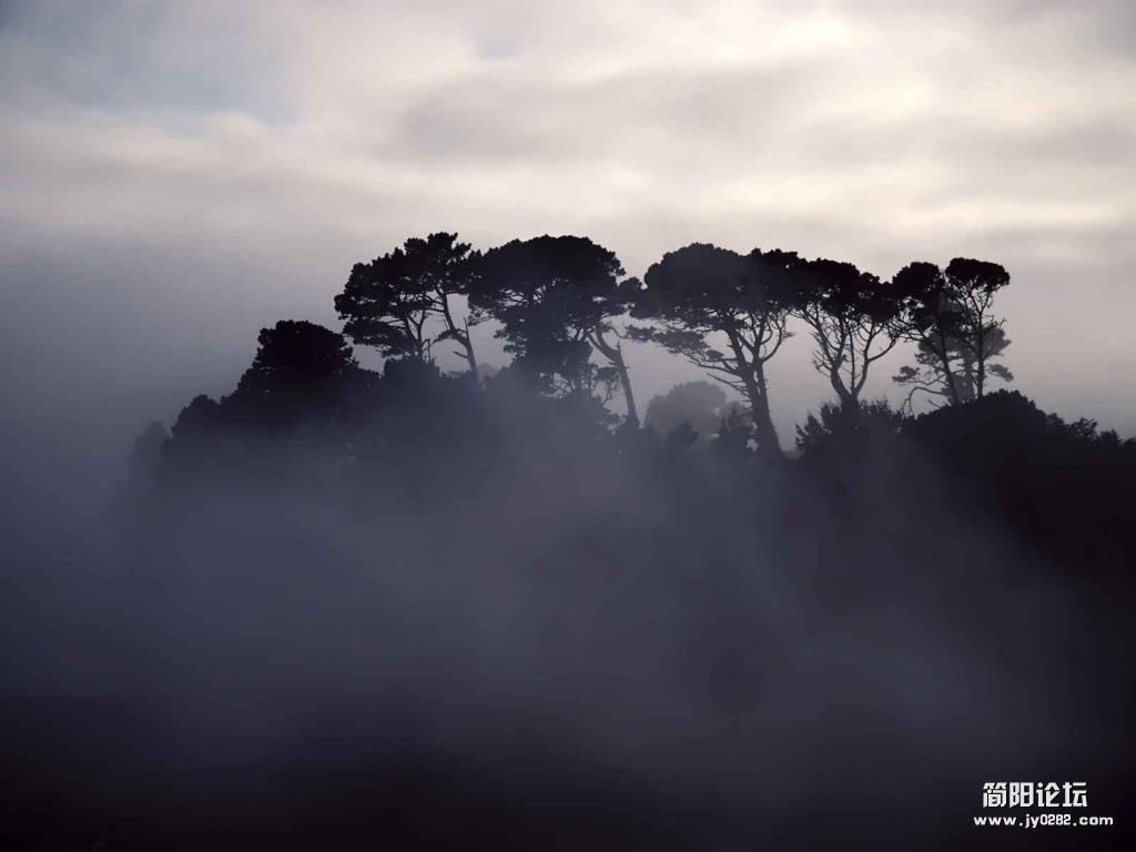 Mist_1011.jpg