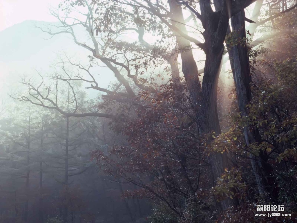 Mist_1016.jpg