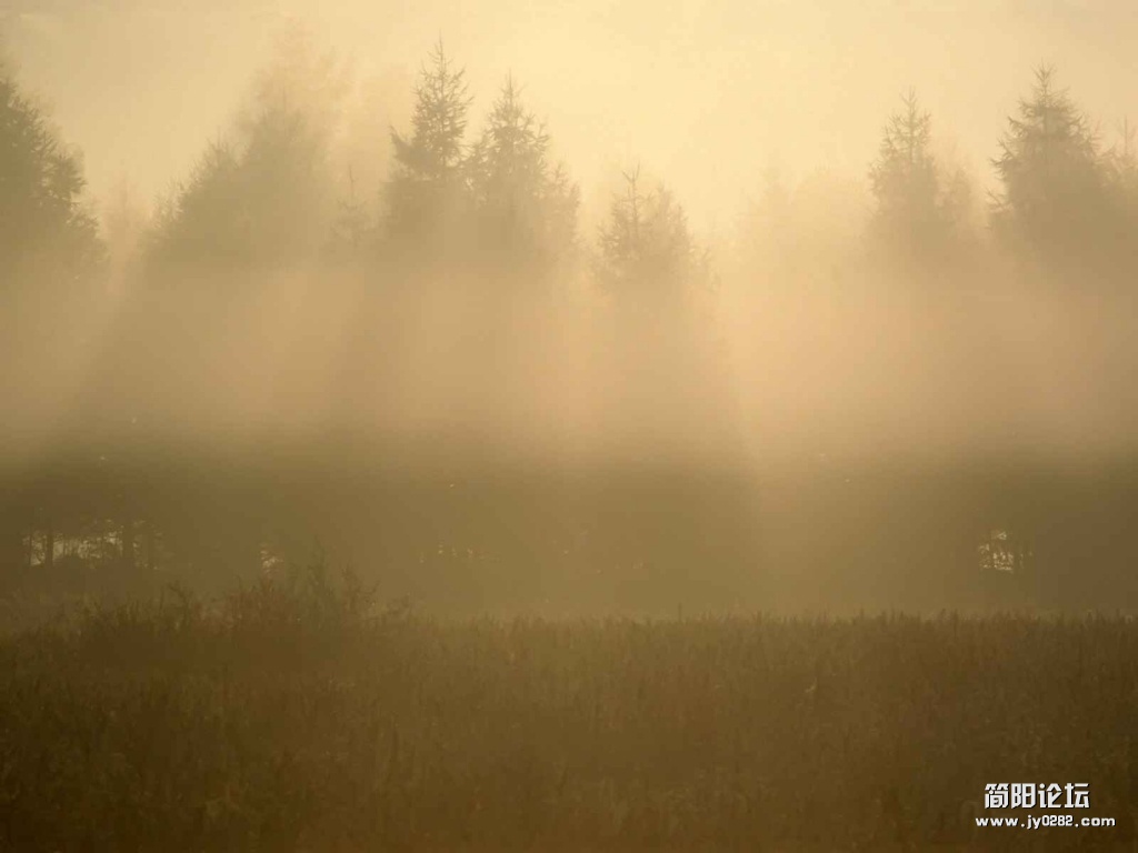Mist_1020.jpg
