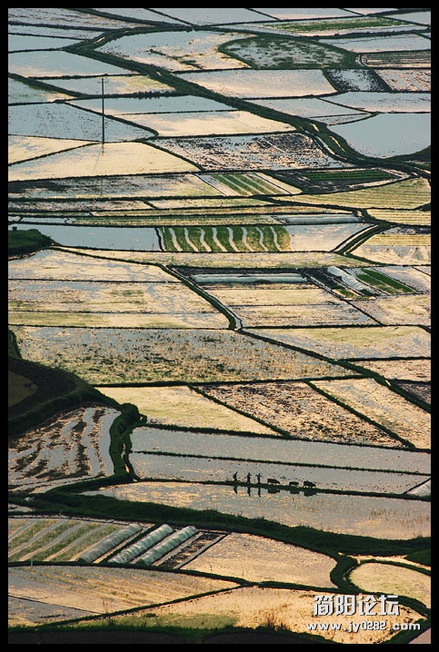 ys (4).jpg