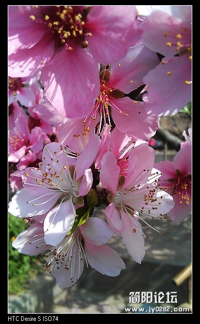 nEO_IMG_IMAG0142.jpg