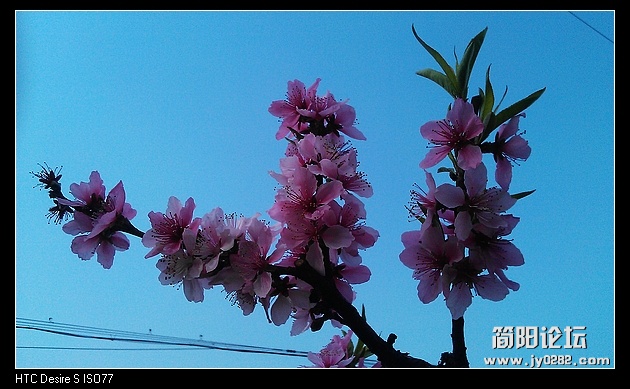 nEO_IMG_IMAG0162.jpg