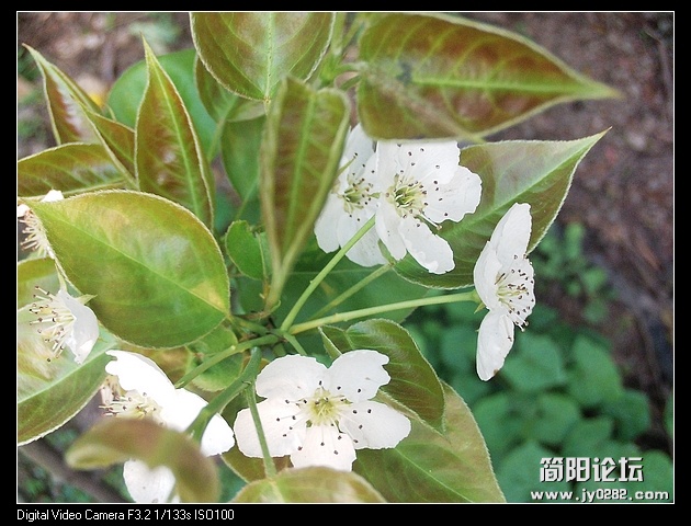 nEO_IMG_PHOT0009.jpg