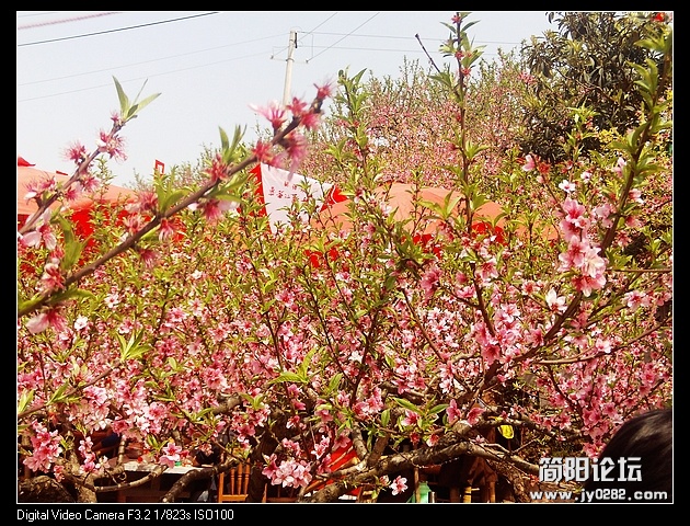 nEO_IMG_PHOT0038.jpg