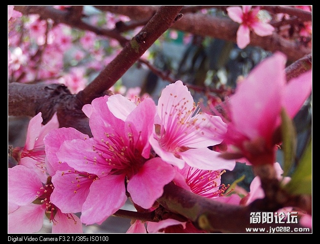 nEO_IMG_PHOT0052.jpg