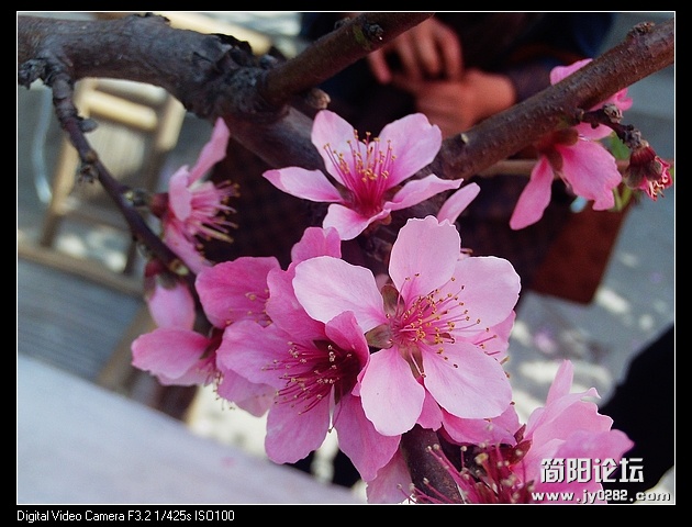 nEO_IMG_PHOT0053.jpg
