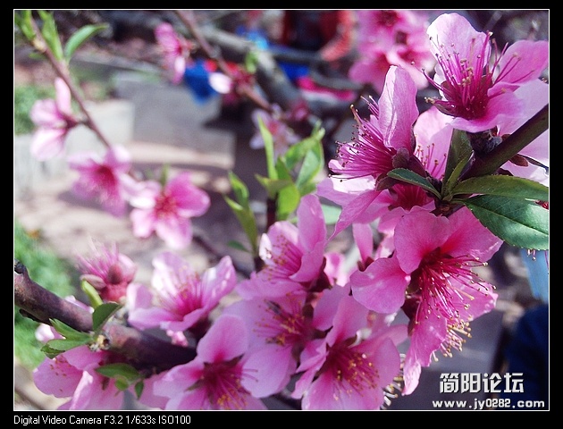nEO_IMG_PHOT0054.jpg