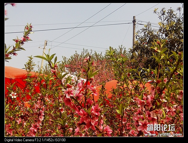 nEO_IMG_PHOT0055.jpg