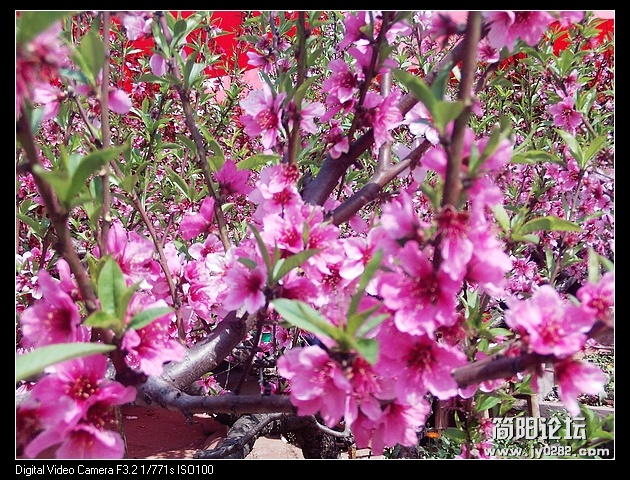 nEO_IMG_PHOT0056.jpg