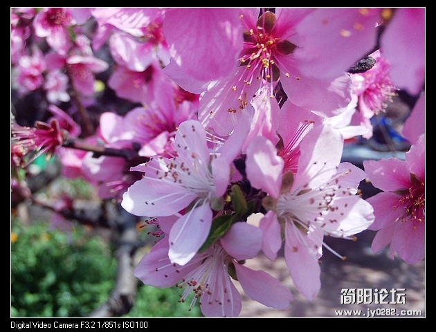 nEO_IMG_PHOT0060.jpg