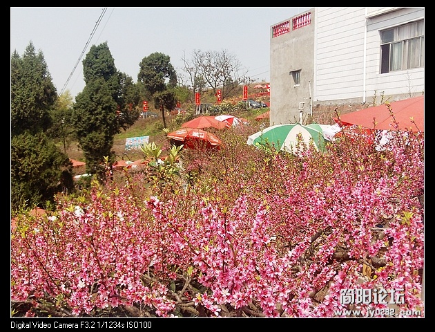 nEO_IMG_PHOT0070.jpg