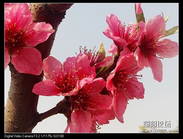 nEO_IMG_PHOT0079.jpg