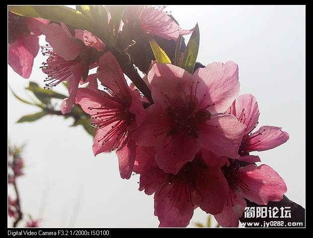 nEO_IMG_PHOT0080.jpg