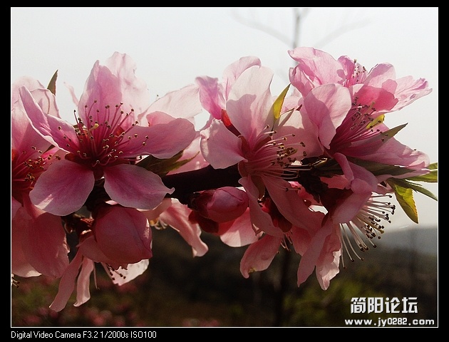nEO_IMG_PHOT0088.jpg