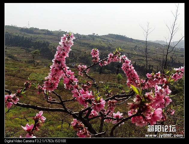 nEO_IMG_PHOT0092.jpg