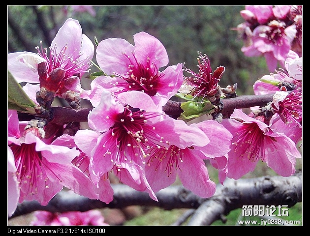 nEO_IMG_PHOT0094.jpg