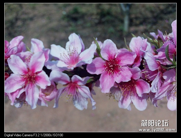 nEO_IMG_PHOT0096.jpg
