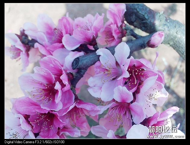 nEO_IMG_PHOT0097.jpg