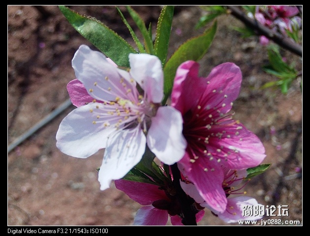 nEO_IMG_PHOT0109.jpg
