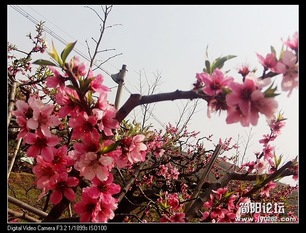 nEO_IMG_PHOT0110.jpg