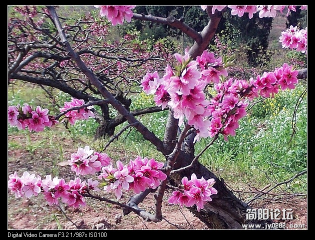nEO_IMG_PHOT0111.jpg