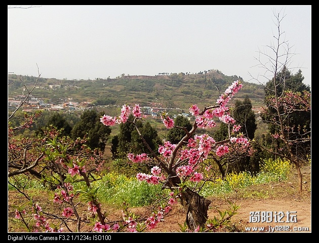 nEO_IMG_PHOT0112.jpg